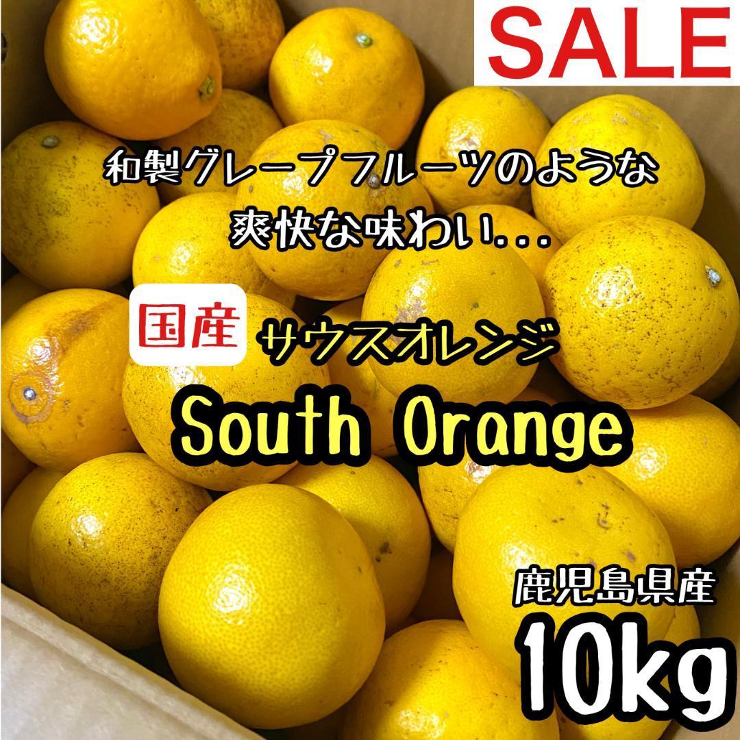溢れる果汁 サウス オレンジ 家庭用 10kg 河内晩柑 みかん 好きにも c｜PayPayフリマ