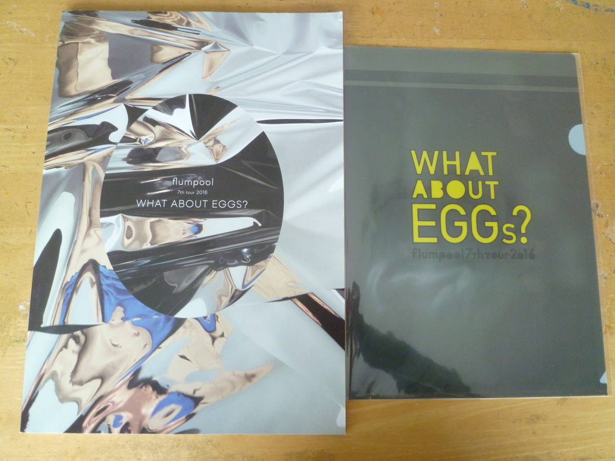 flumpool 7th tour 2016 【 WHAT ABOUT EGGS？ パンフ ◆クリアファイル付◆ 】_画像1