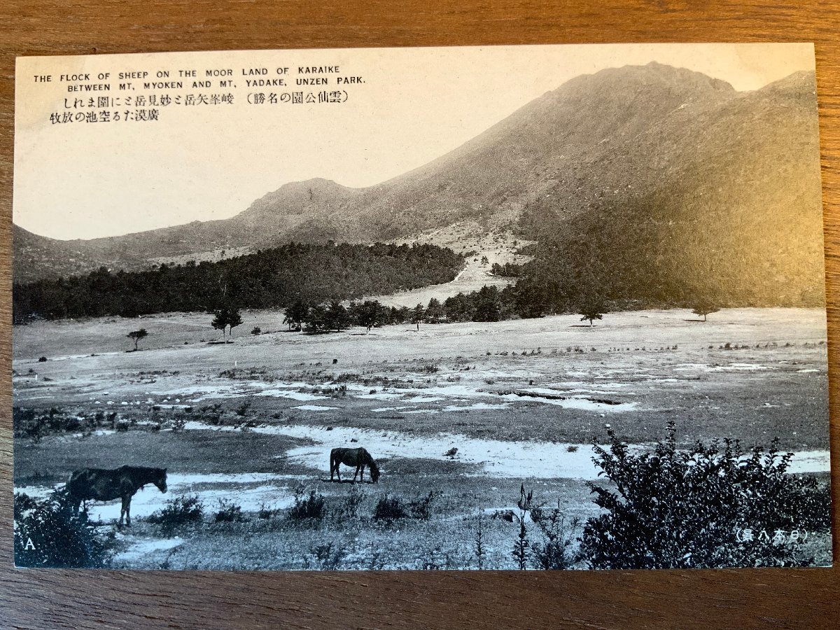 FF-3663 ■送料無料■ 長崎県 雲仙公園 放牧 馬 動物 九州 名所 風景 景色 レトロ 絵葉書 エンタイア 写真 古写真/くNAら_画像1