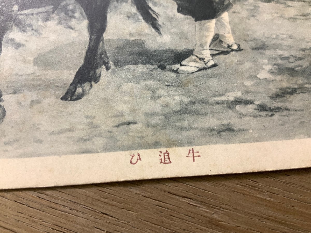 FF-4016 # free shipping # cow ..... writing brush . woman .... picture work of art house . animal retro scenery war front picture postcard entire photograph old photograph /.NA.