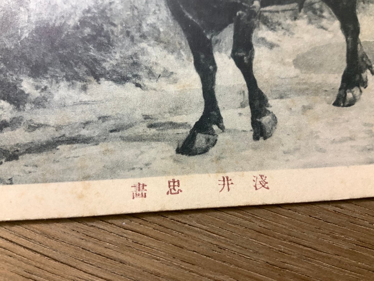 FF-4016 # free shipping # cow ..... writing brush . woman .... picture work of art house . animal retro scenery war front picture postcard entire photograph old photograph /.NA.