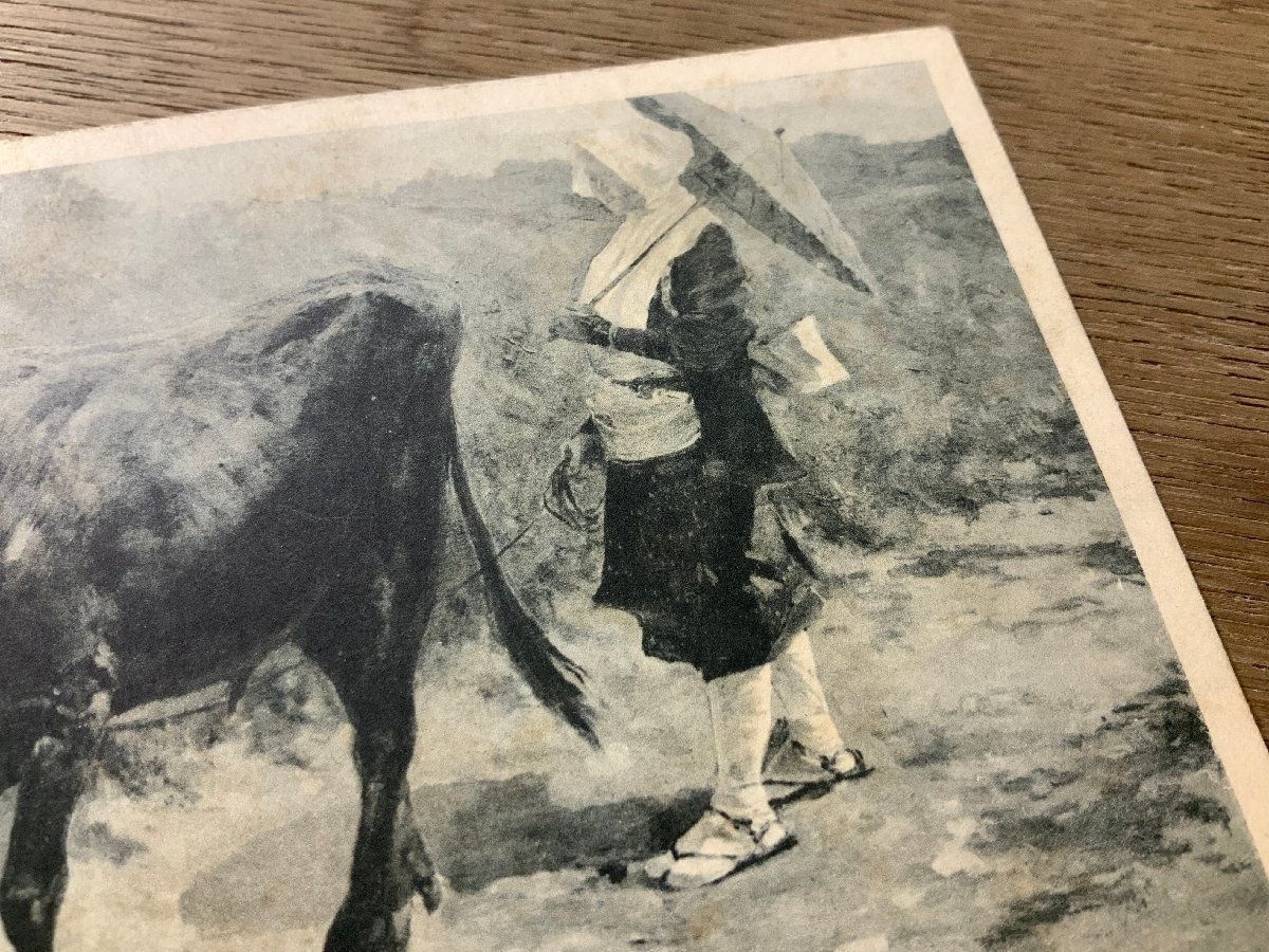 FF-4016 # free shipping # cow ..... writing brush . woman .... picture work of art house . animal retro scenery war front picture postcard entire photograph old photograph /.NA.