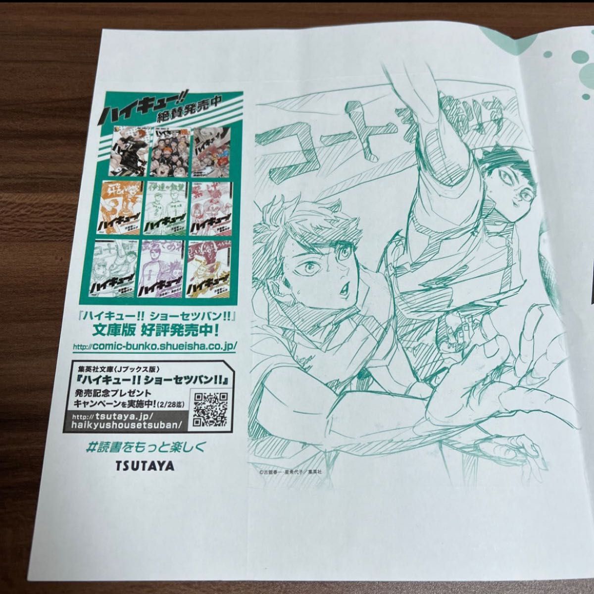ハイキュー ショーセツバン 全巻セット + ハイキュー極 オフィシャルガイドブック + 青葉城西ブックカバー