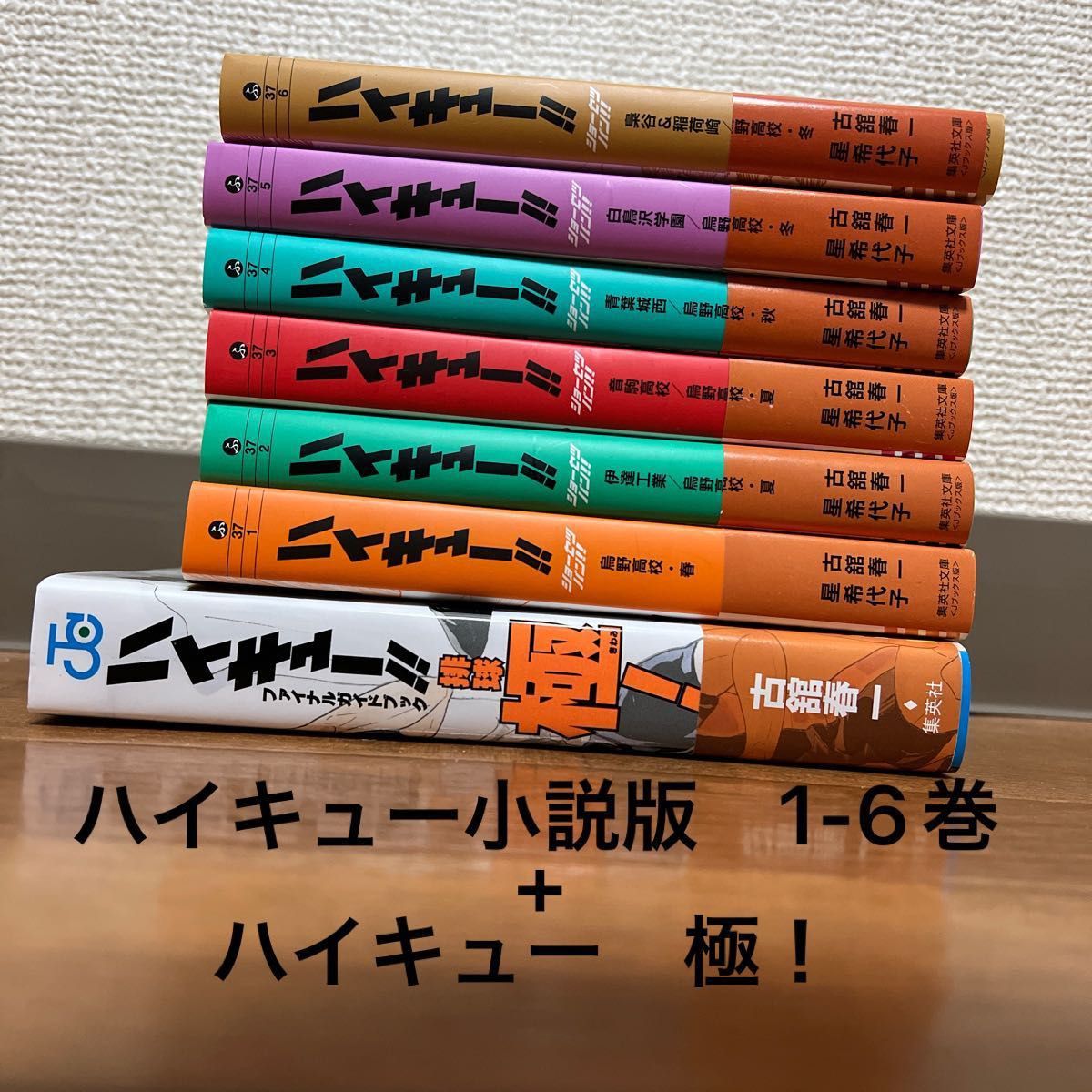 ハイキュー ショーセツバン 全巻セット + ハイキュー極 オフィシャルガイドブック + 青葉城西ブックカバー