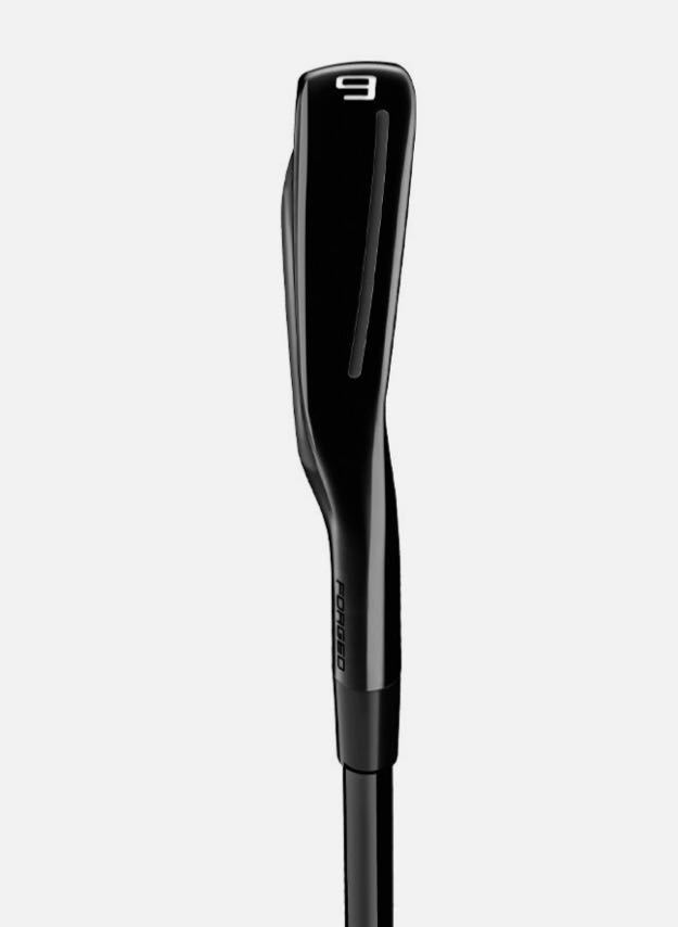 TaylorMade テーラーメイド P790 ブラック アイアン 5-P 6本セット