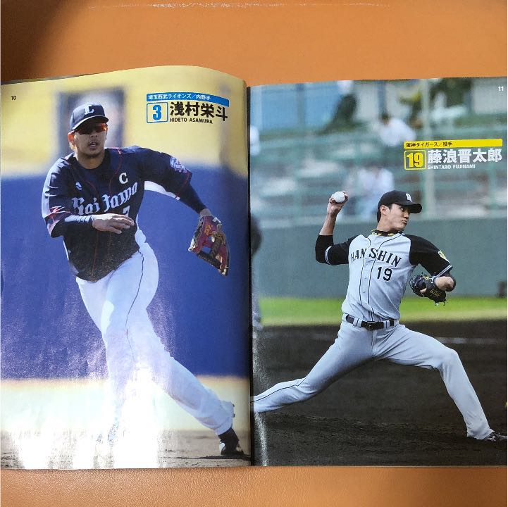 メ320 12球団全選手カラー百科名鑑 2017 プロ野球セ・パ両リーグ_画像3