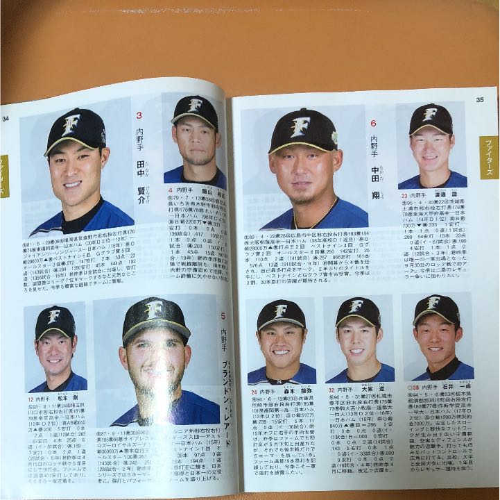 メ320 12球団全選手カラー百科名鑑 2017 プロ野球セ・パ両リーグ_画像4