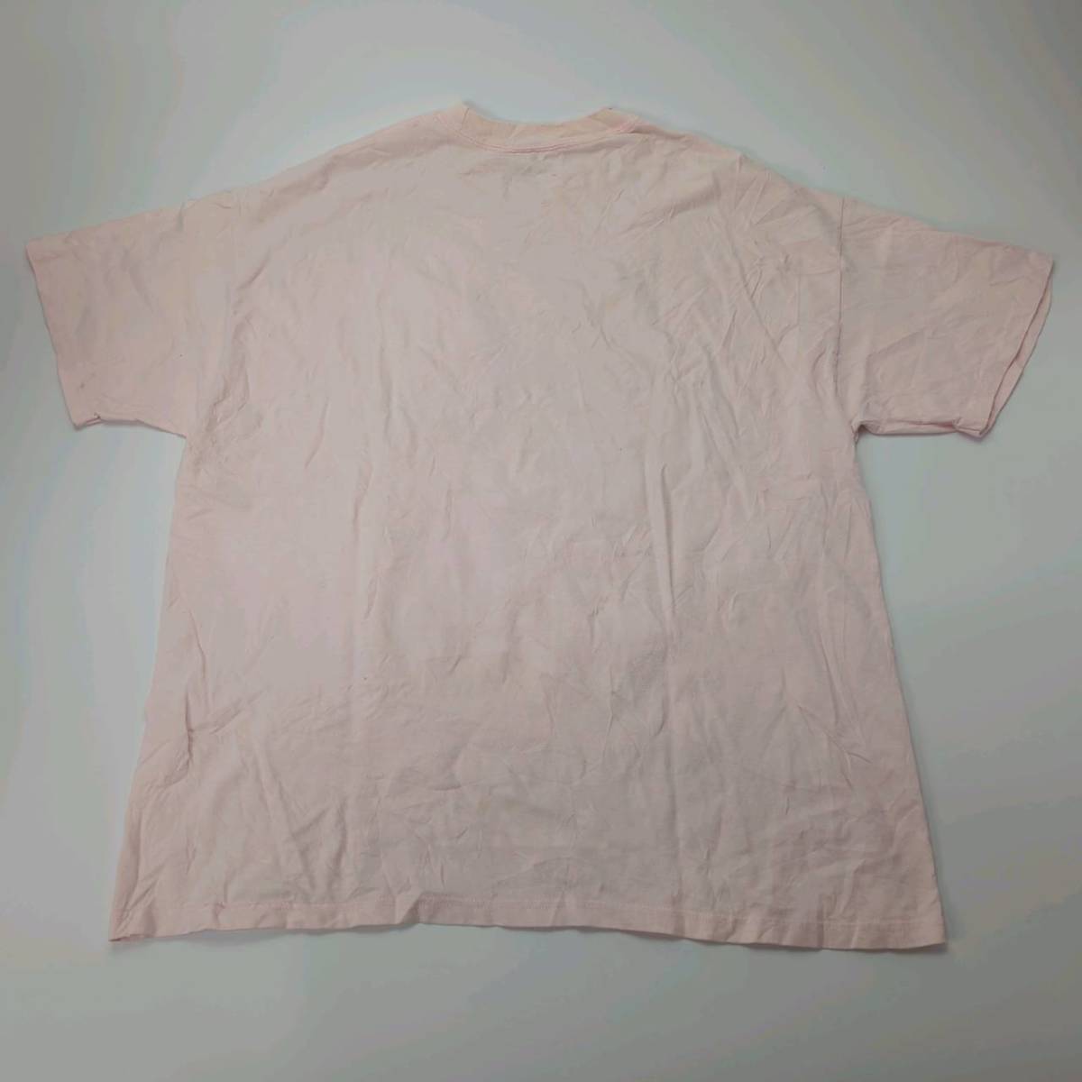 XL WALT DISNEY WORLD by Hanes Tシャツ ライトピンク ミニーマウス リユース ultramto