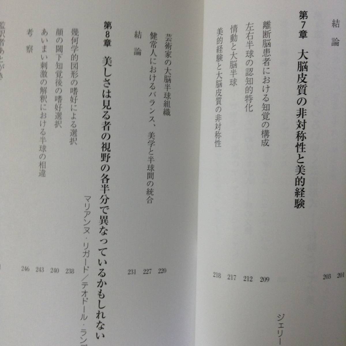 美を脳から考える 芸術への生物学的探検　　　著者：インゴ・レンチュラー　他　　　監訳： 野口薫　他　　発行所 ：新曜社_画像4