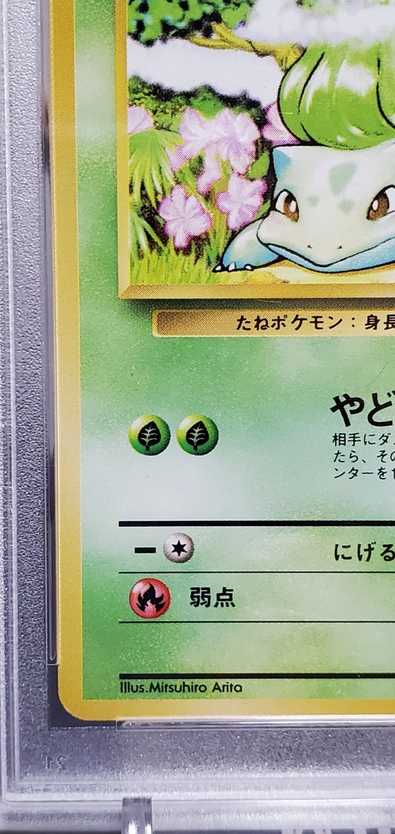 特別配送 ポケモンカード 旧裏 フシギダネ 第一弾 初版 PSA8 ポケモン