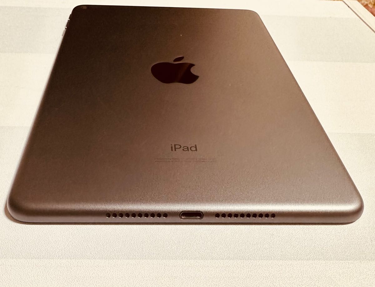 iPad mini スペースグレイ おまけ付き - 通販 - hanackenovinky.cz