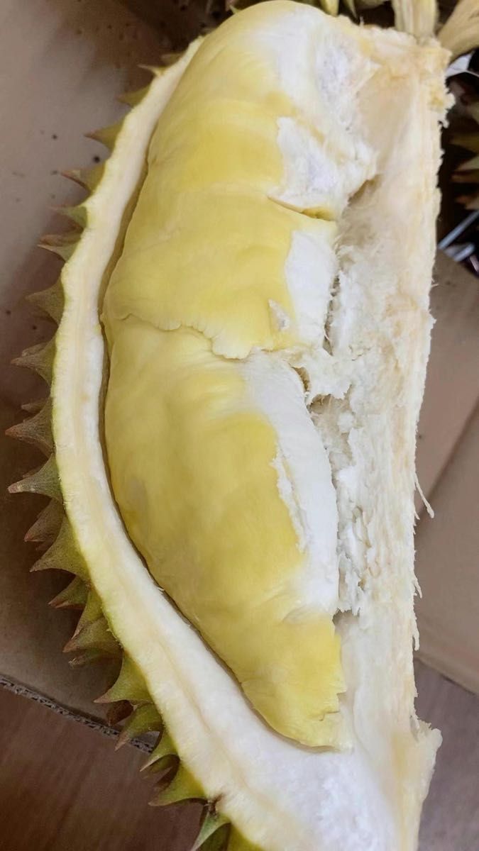 タイ産新鮮ドリアン約5kg 金枕|Yahoo!フリマ(旧PayPayフリマ)