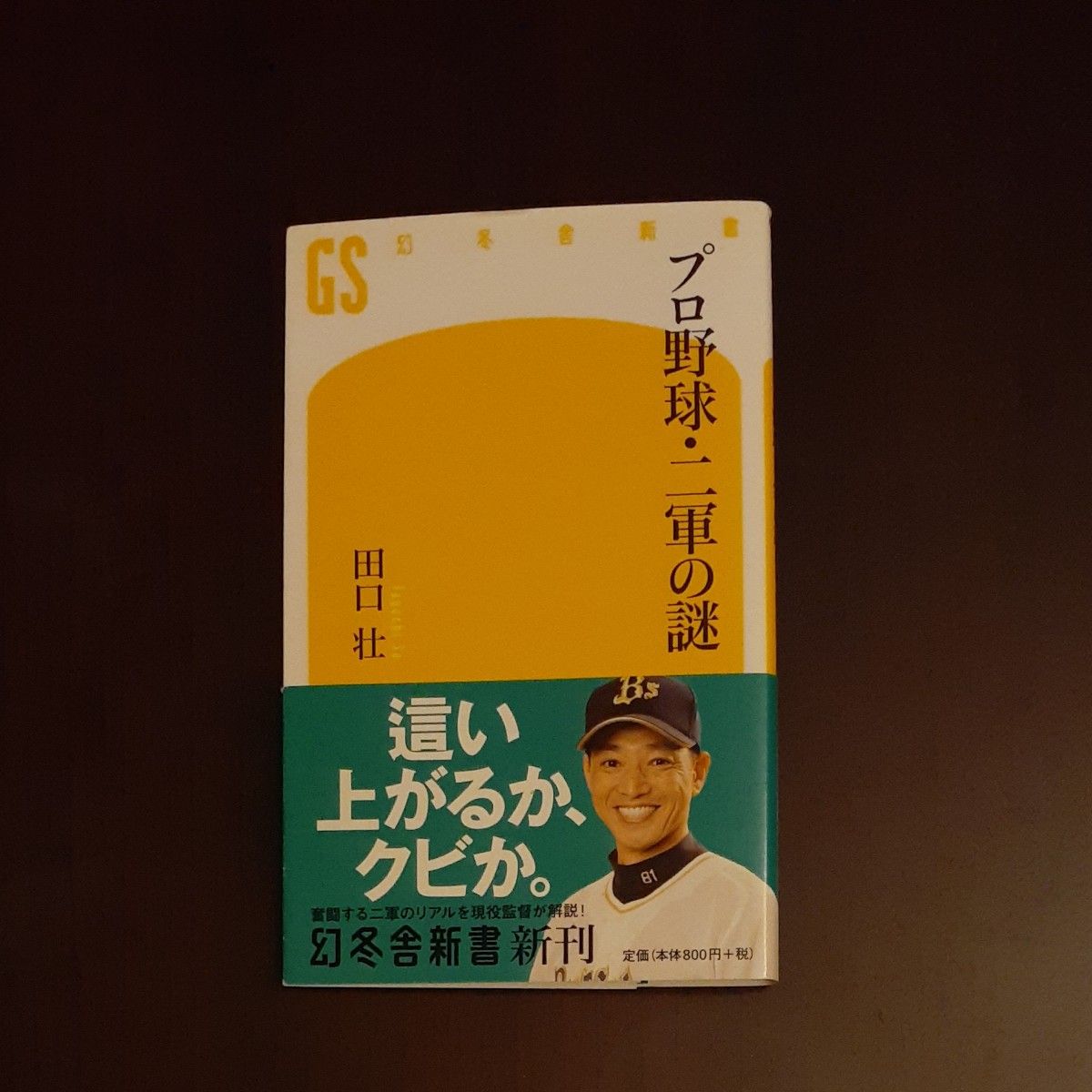 プロ野球・二軍の謎 （幻冬舎新書　た－２１－１） 田口壮／著