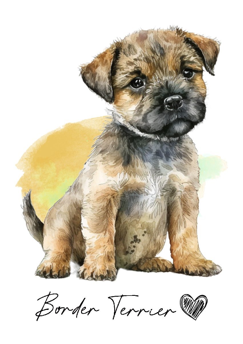 ポストカード【 Border Terrier / ボーダー・テリア 】イラスト アート 水彩画風 パステルカラー はがき -1_画像1