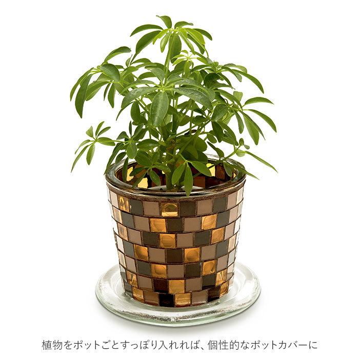 ☆ WHITE 植木鉢 おしゃれ 3.5号 通販 プラントポット 鉢 プランター 受け皿 穴あり 寄せ植え ポット 円形 丸型 かわいい ガラス 石膏 モ_画像6