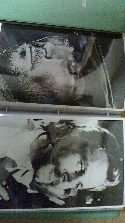 スチール写真　フランコ・ネロ　マカロニ・ウエスタン　白黒17x25cm　22枚　1970年近代映画社スクリーン専用アルバム_画像2