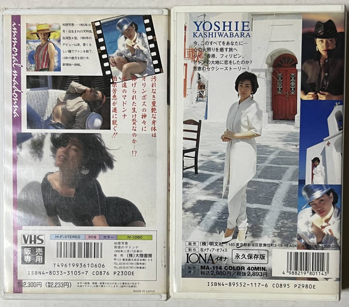柏原芳恵　フェラ 