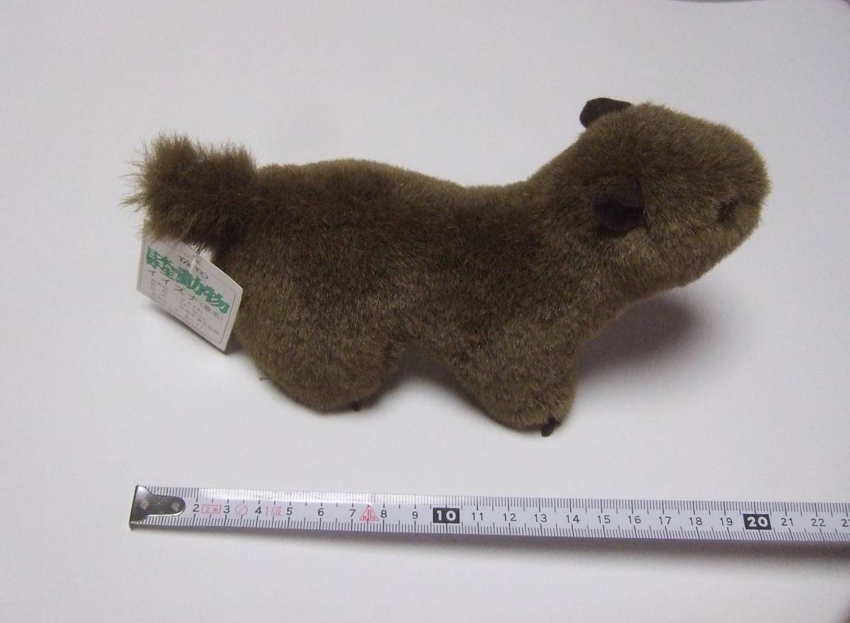 超格安価格 タイトー の入札履歴 夏毛 ぬいぐるみ イイズナ 日本の野生動物 その他