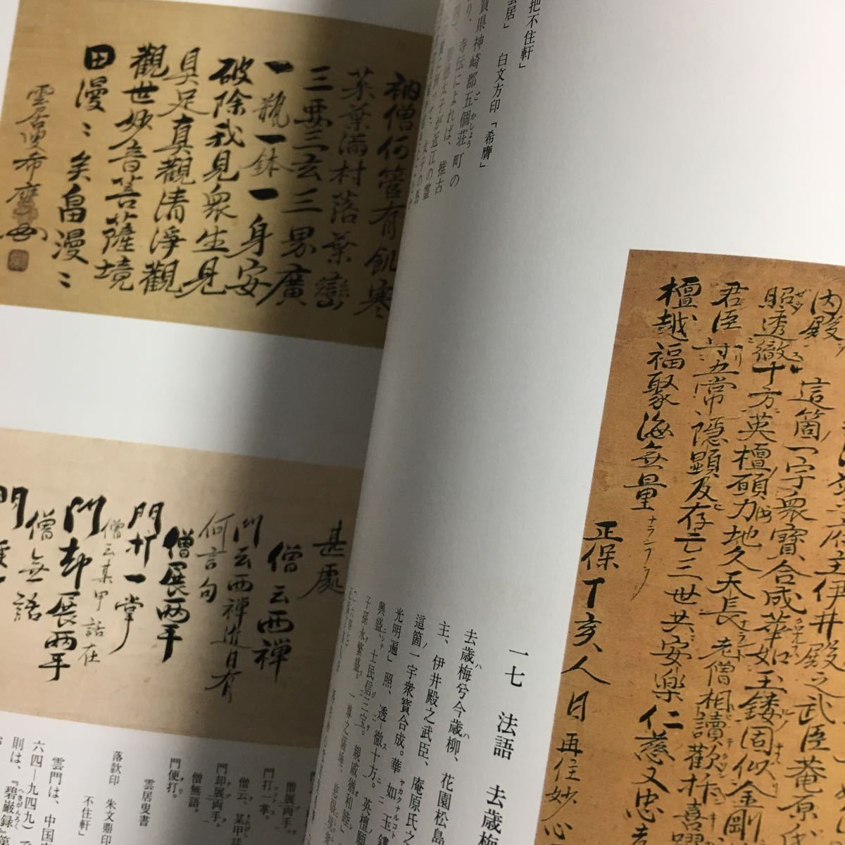 【送料無料】禅僧 雲居希膺 その生涯と作品 図録 正誤表付き * 雲居禅師 平成8年