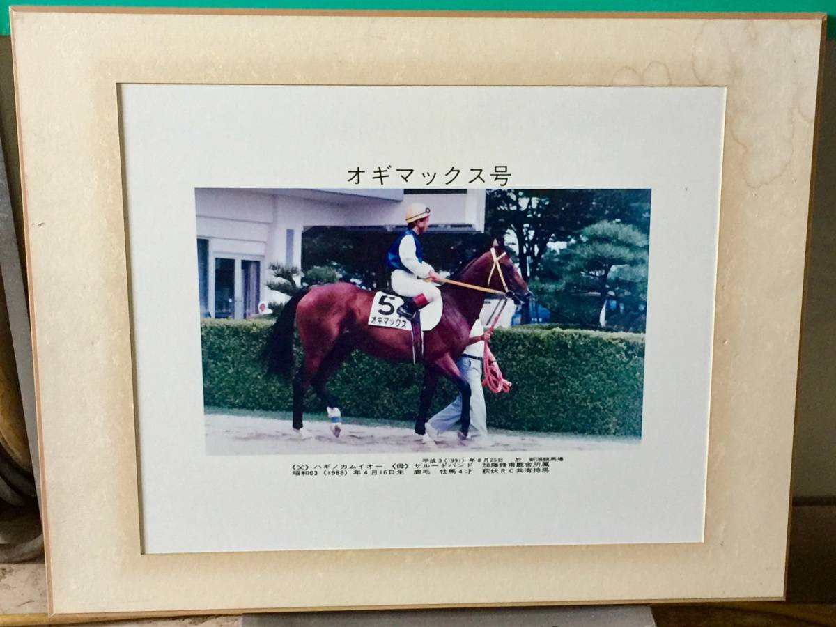 .[ogi Max number ] H3.8.25 Niigata horse racing place .
