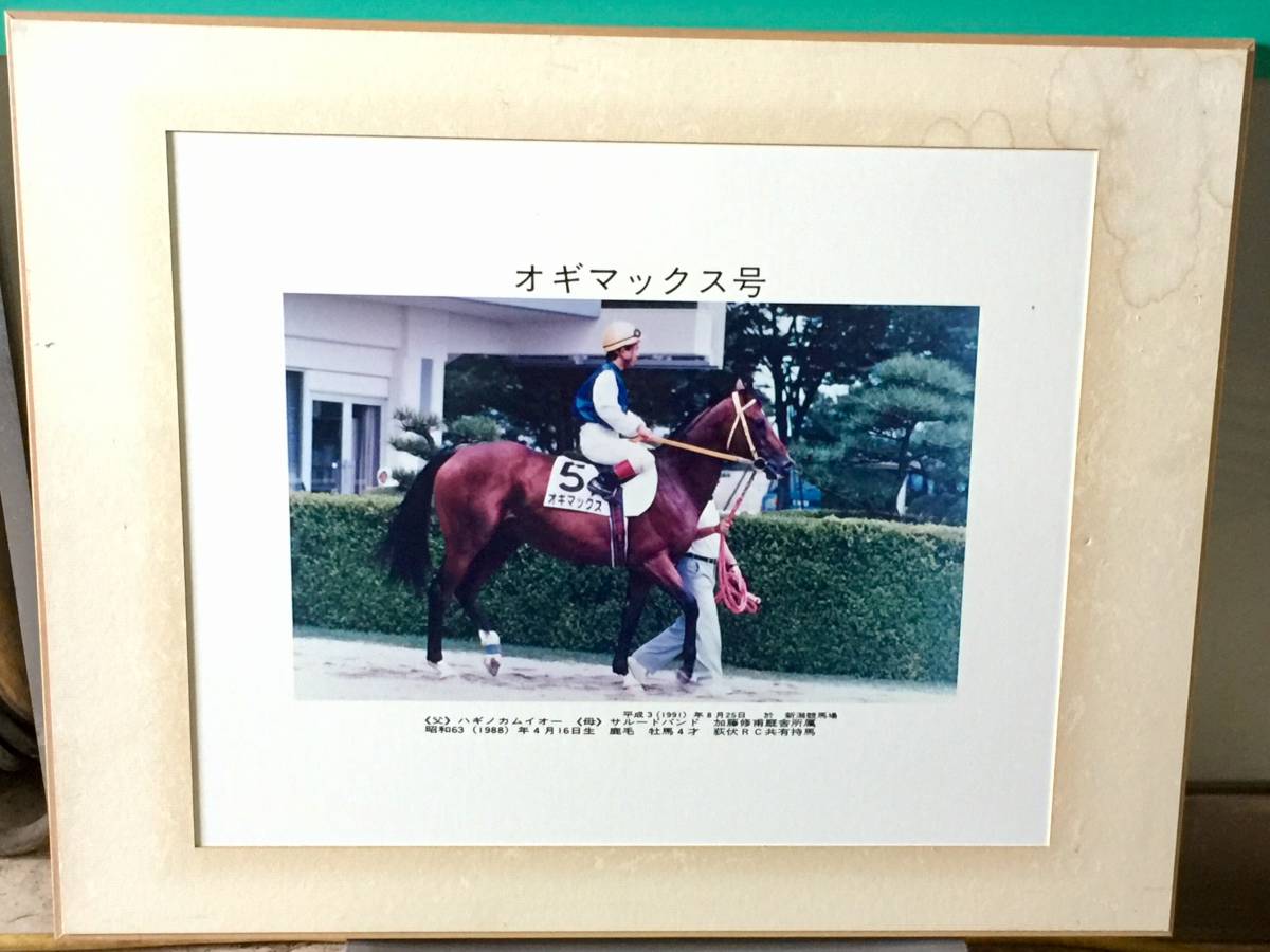 .[ogi Max number ] H3.8.25 Niigata horse racing place .