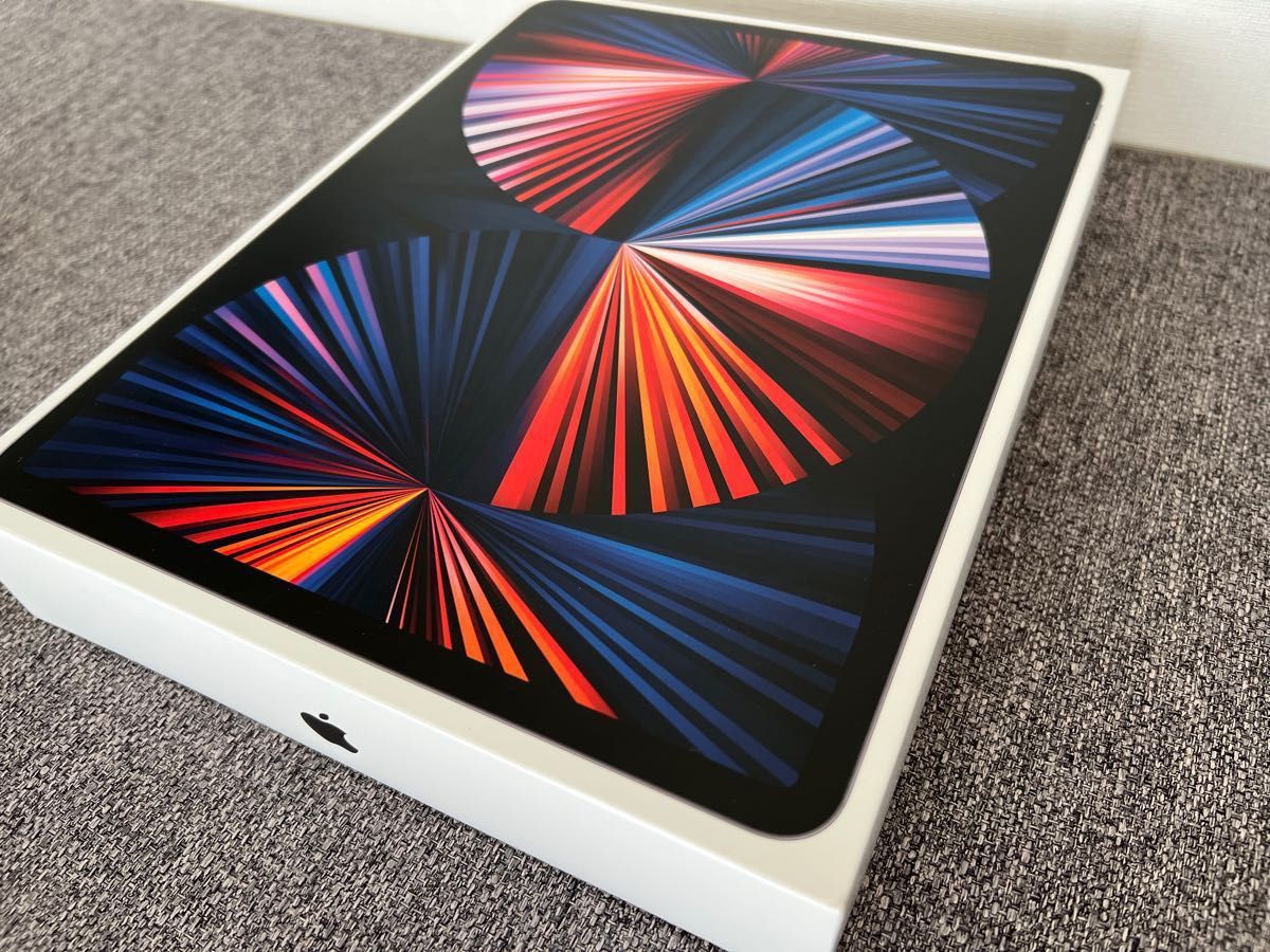 iPad Pro 12.9インチ 第5世代 M1チップ 1TB スペースグレイ Wi-Fiモデル