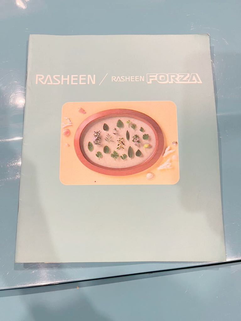 Nissan Nissan RB14 RASHEEN Rasheen 1999 year 3 month + option catalog + type M