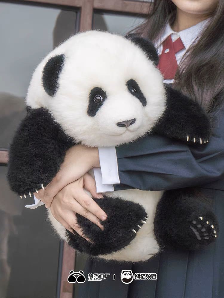 [ Panda factory ] made real soft toy Panda . orchid (mon Ran ). month . genuine article completely box, opinion,. related product equipped Japan domestic sending Ueno zoo 