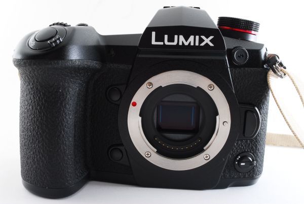 13525☆極上美品☆ Panasonic パナソニック LUMIX ルミックス DC-G9