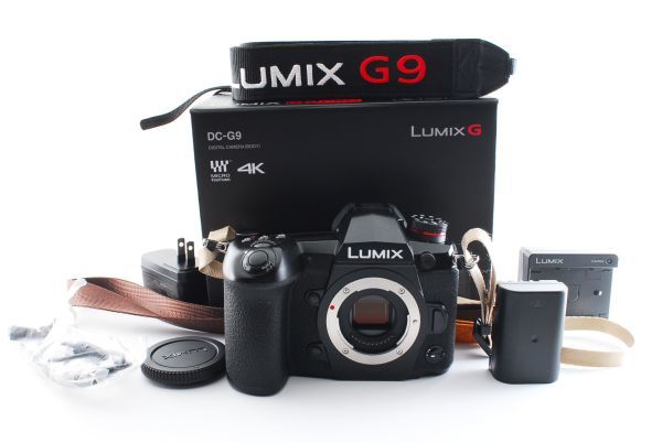 13525☆極上美品☆ Panasonic パナソニック LUMIX ルミックス DC-G9