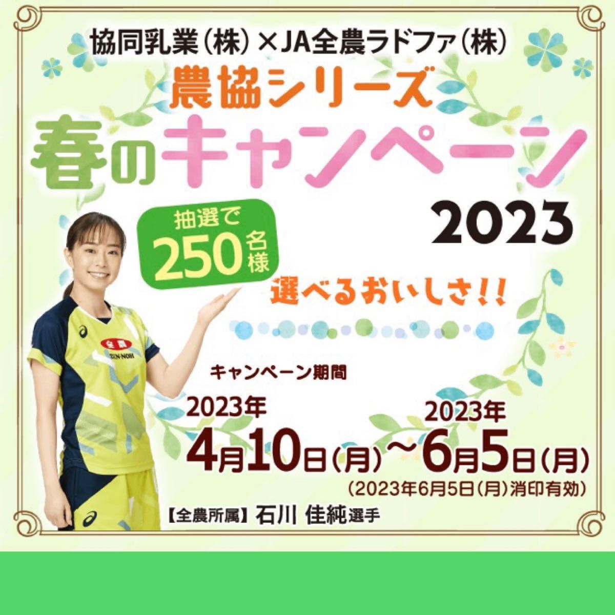 チョコモナカジャンボ バーコード3枚 応募はがき10枚 関ジャニ チョコモナカジャンボ バーコード3枚 応募はがき10枚 関ジャニ