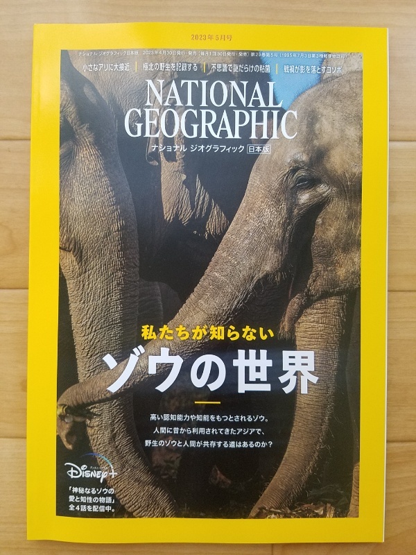 ナショナルジオグラフィック日本版　2023年　4月号〜7月号