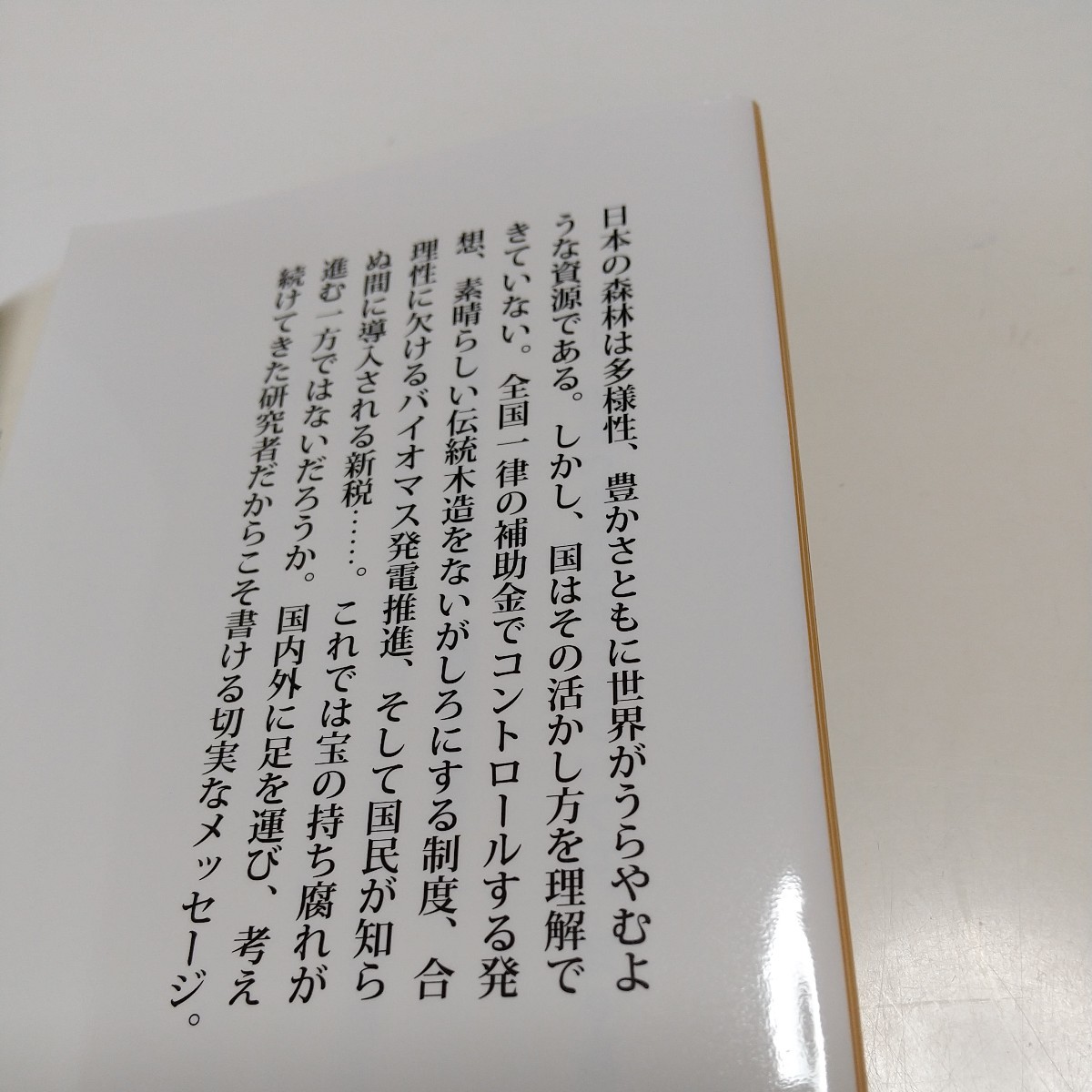 森林で日本は蘇る　林業の瓦解を食い止めよ （新潮新書　９０９） 白井裕子／著