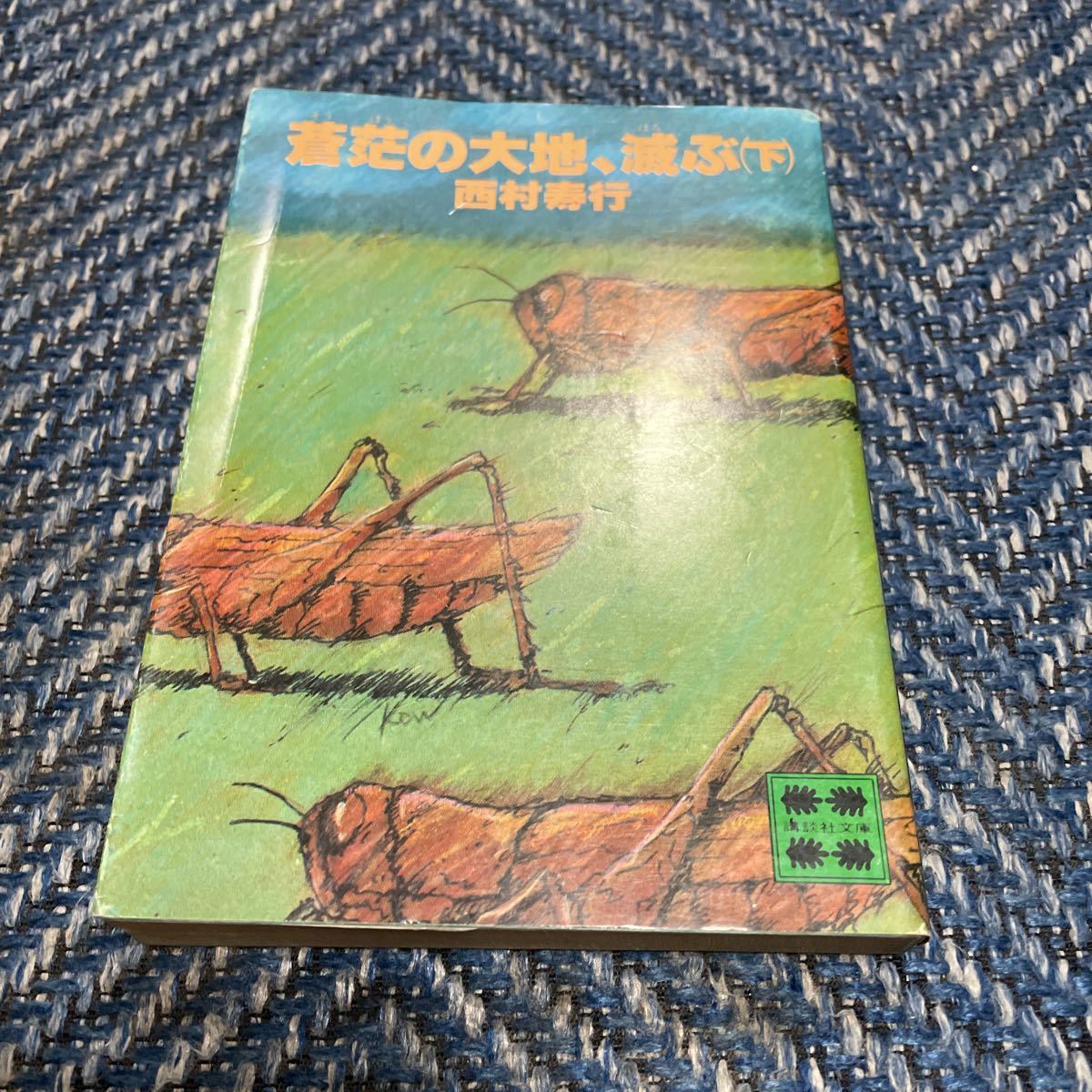 襤褸の詩／道（みち）／蒼茫の大地、滅ぶ（下）　西村寿行著　文庫３冊セット　送料無料　