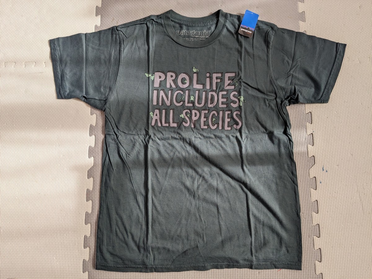 パタゴニア Existence Tシャツ Mサイズ スリムフィット 新品 送料185円～ 訳ありの画像1