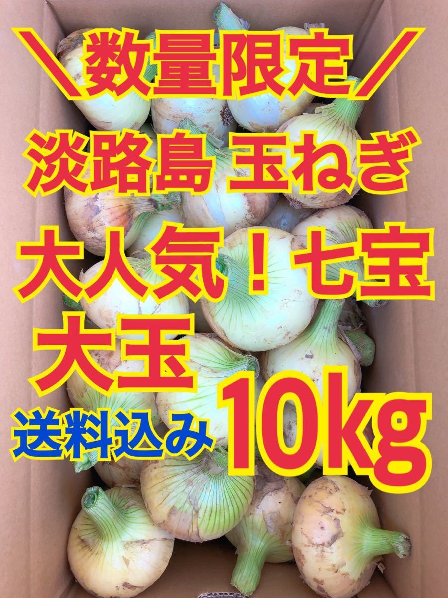淡路島 玉ねぎ 玉葱 新玉 10kg 送料込み 農家直送 南あわじ 大玉 七宝