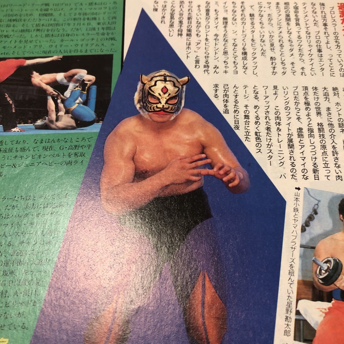  The Television первое поколение Tiger Mask Showa Retro New Japan Professional Wrestling 