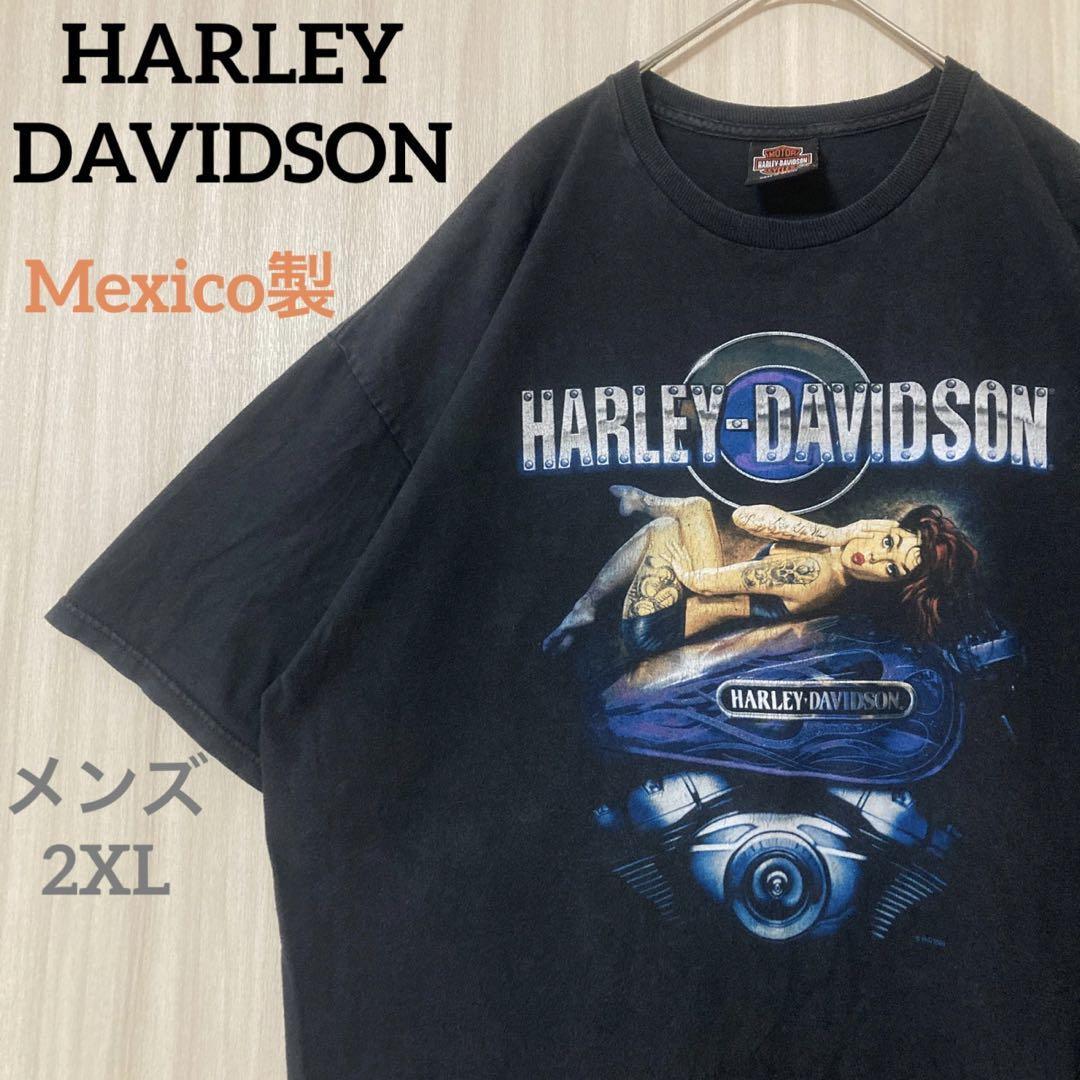 色々な ハーレーダビッドソン メキシコ製 Tシャツ 両面プリント