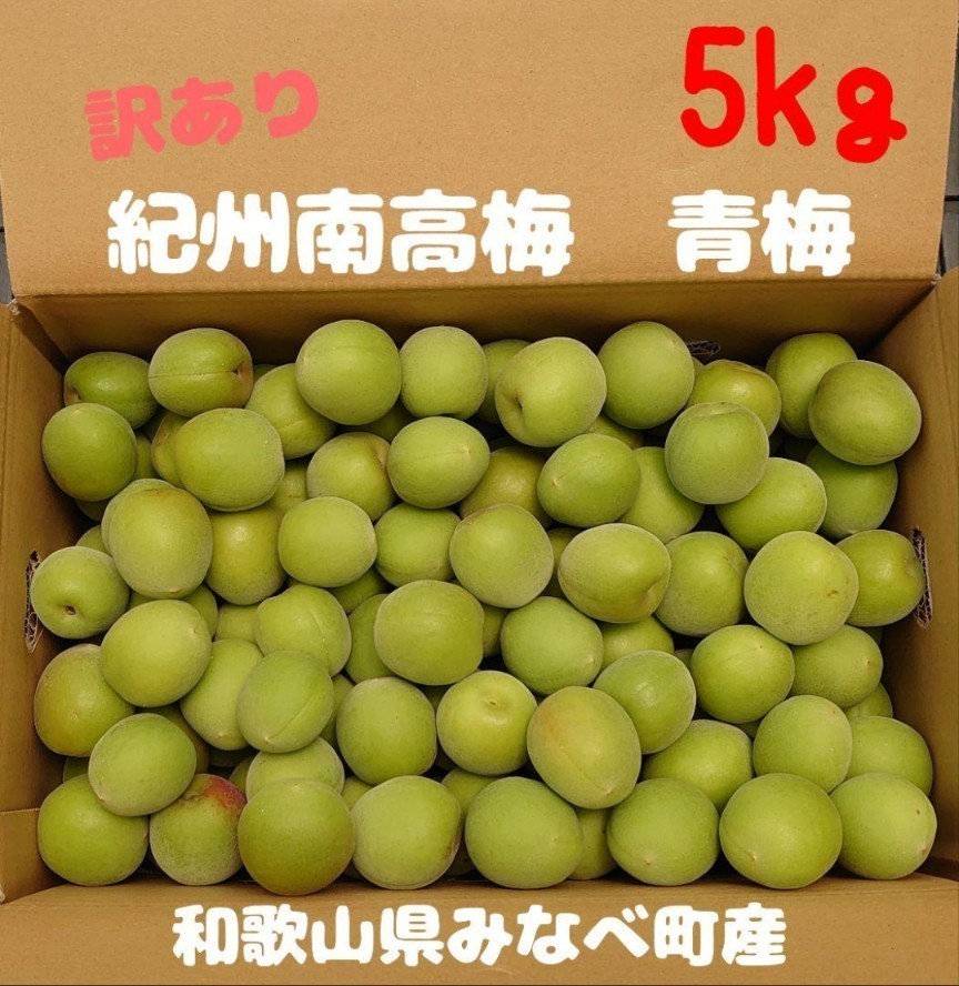 ショッピング 和歌山県 みなべ産 南高梅 完熟梅 梅干し 5kg Lサイズ 和歌山県 みなべ産 南高梅 完熟梅 梅干し 5kg 4L サイズ