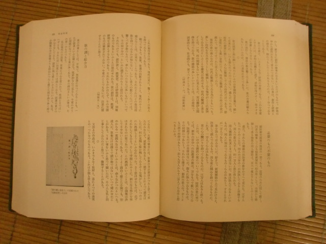 . rice field empty . complete set of works no. . volume . theory Ⅱ Showa era four 10 year . month 10 . day the first version issue 496 page ballpen . red line ... exist 