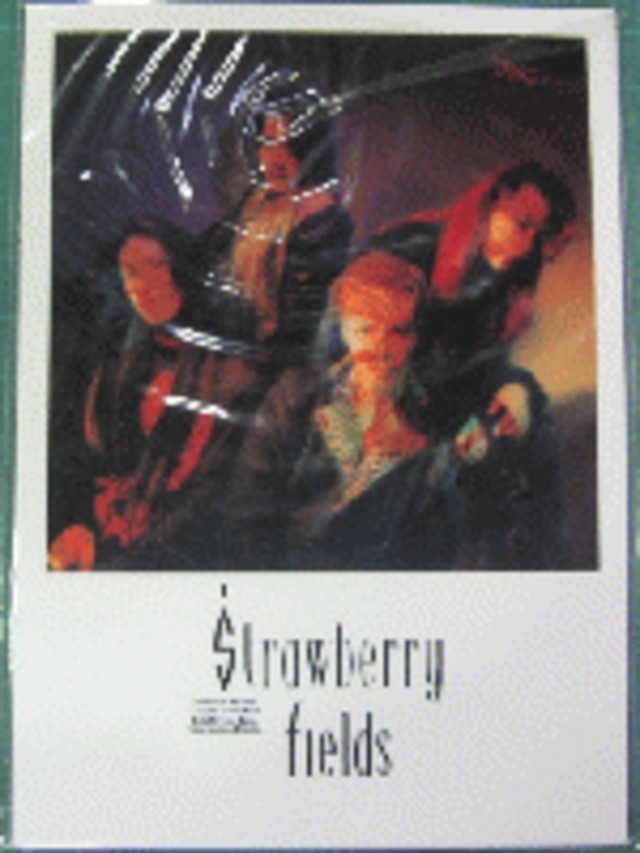 ＊中古CD Strawberry Fieldsストロベリー・フィールズ/ALIBI 1992年作品2nd スリーヴケース+ポストカード5枚組付き D'ERLANGER Justy-Nasty_画像4