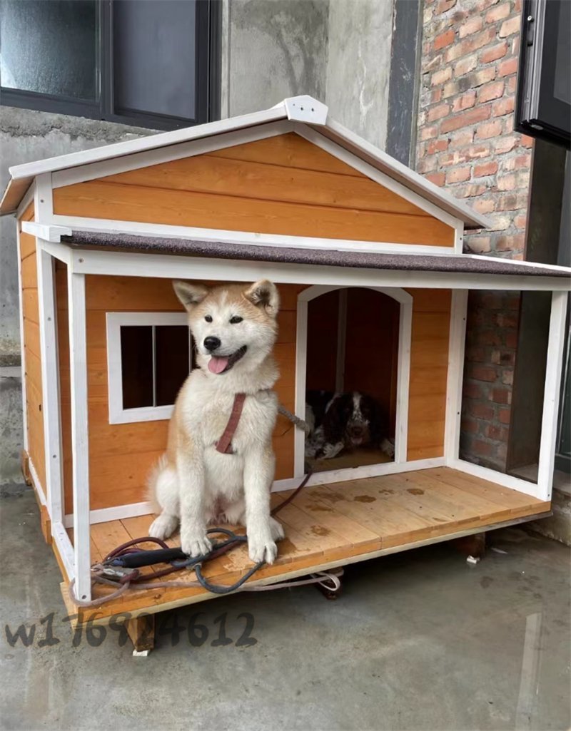 お見逃しなく ドッグハウス 室外犬小屋 屋外 木製 サイズ外寸 129 110 113 大型犬用 ホームタウン ドッグハウス テラス