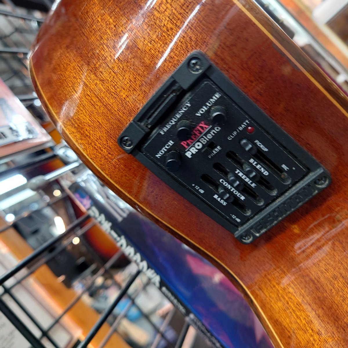 Raimundo エレガット 610E☆レイモンド☆若干ネック順ぞり