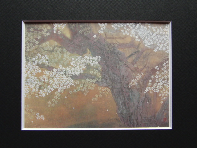  Nakamura ..,[ gold Gou Sakura ], new goods high class amount frame attaching, Japanese picture rare book of paintings in print ... condition excellent, free shipping landscape painting 