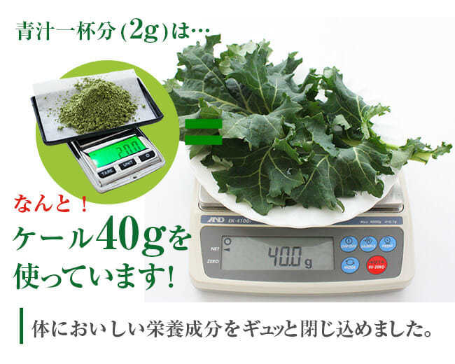 [ discount goods ] have machine kale powder (100g)* no addition * less pesticide organic * non Cafe in * nutrition abundance abundance ..... have machine 100%! vegetable shortage cancellation!