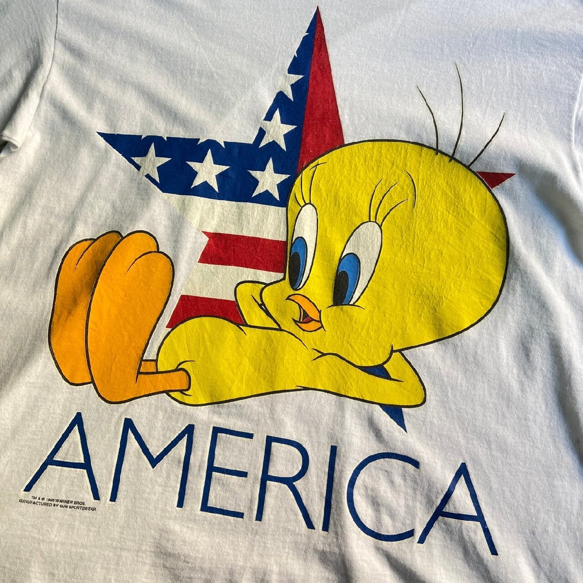 90年代 USA製 ルーニーテューンズ トゥイーティー 1996 キャラクタープリントTシャツ メンズXL レディース_画像1