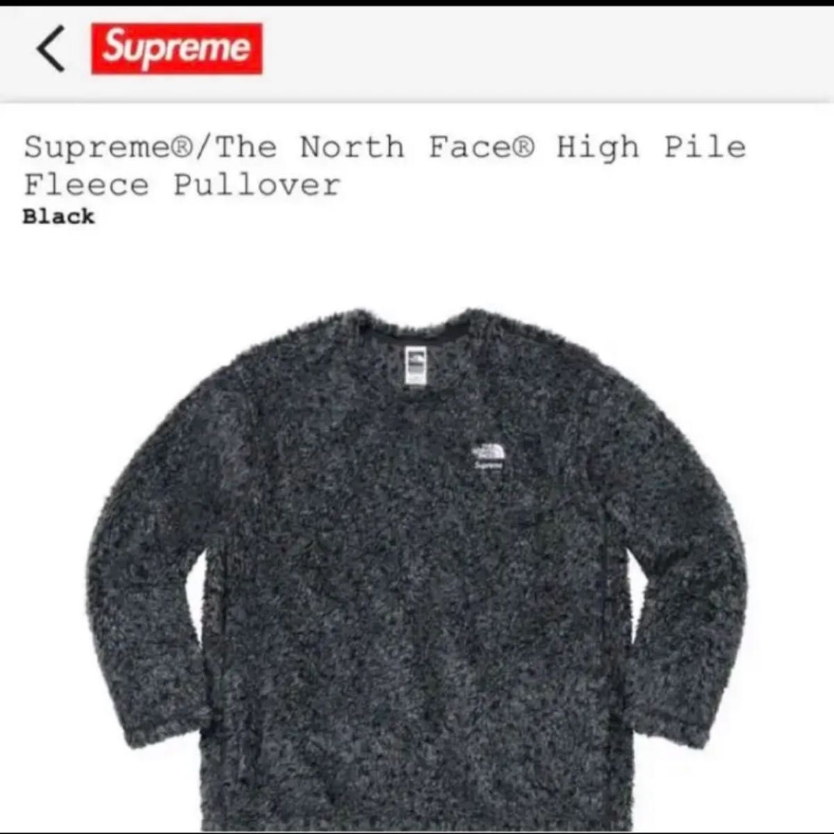 Supreme / The North Face High Pile Fleece シュプリーム ザ ノース