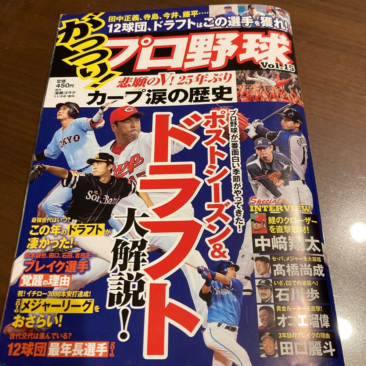 がっつりプロ野球　Vol.15 2016年11／5号
