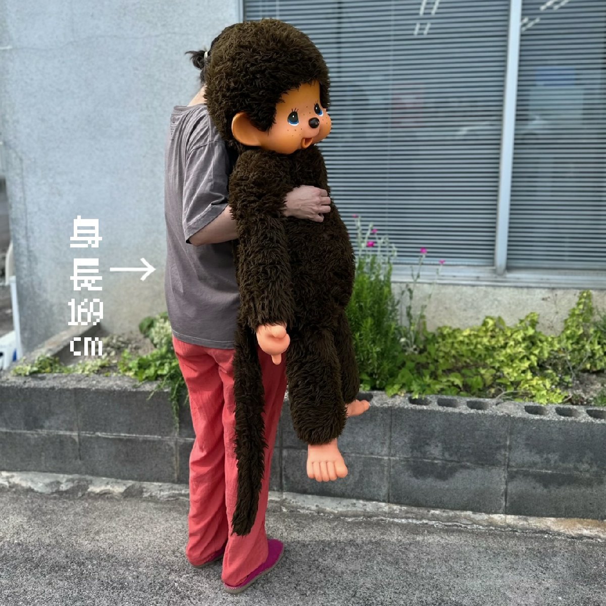 超特大!! 全長110cm! モンチッチ ぬいぐるみ セキグチ 日本製 超特大!! 全長110cm! モンチッチ ぬいぐるみ セキグチ 日本製