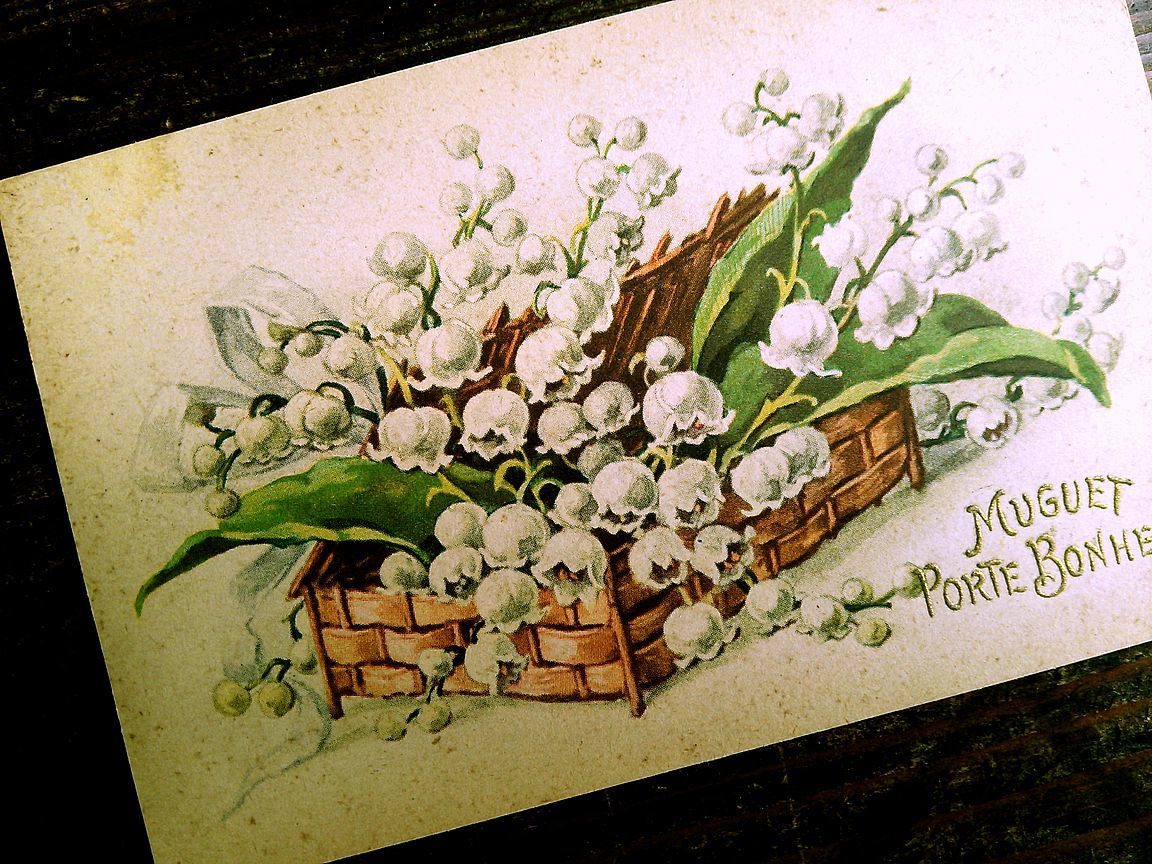 花(4)A84◆スズラン すずらん 鈴蘭 アンティークポストカード フランス ドイツ ベルギー イタリア イギリス ビンテージ 外国絵葉書の画像2